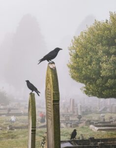 Crow Funeral